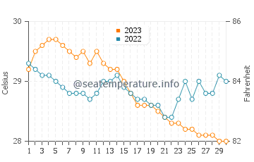 Temperatura del agua en Paracale en noviembre