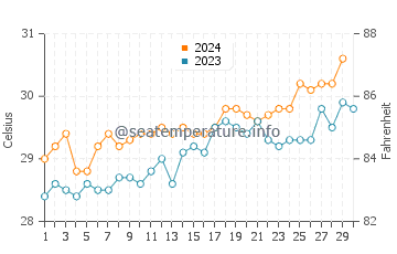 Températures de l'eau à Passo en novembre