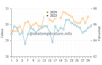 Températures de l'eau à Pemuteran en novembre