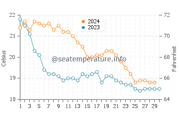 Platja de Palma water temp chart in November
