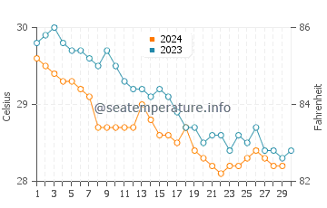 Temperature dell'acqua a Playa Rincon a novembre