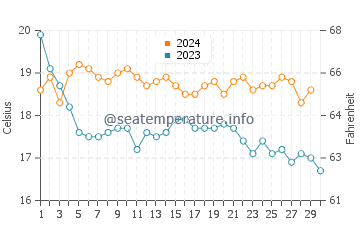 Temperature dell'acqua a Praia do Carvoeiro a novembre