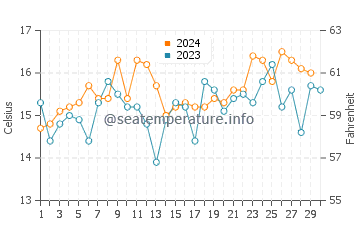Temperature dell'acqua a Puerto Aldea a novembre