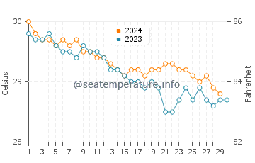 Temperature dell'acqua a Puerto Real a novembre