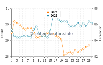 Temperature dell'acqua a Punta Roca a novembre
