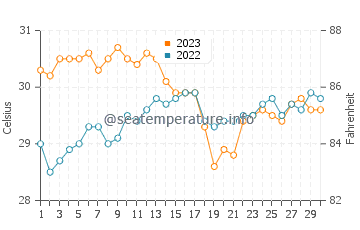 Puro Pinget water temp chart in November