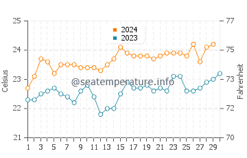Temperature dell'acqua a Rainbow Bay a novembre