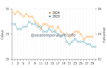 Temperature dell'acqua a Saint Thomas a novembre