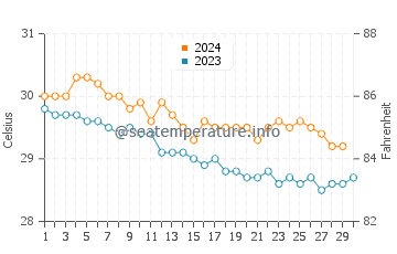 Temperature dell'acqua a Port Elizabeth a novembre