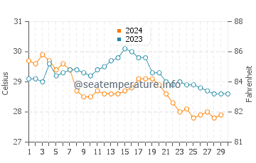 Temperature dell'acqua a San Patricio a novembre