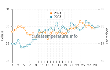 Temperature dell'acqua a Sikka a novembre