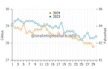Temperature dell'acqua a South Caicos a novembre
