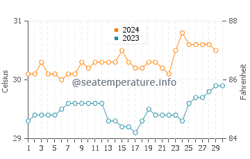 Températures de l'eau à Torakina en novembre