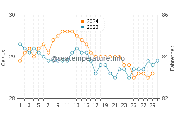Wassertemperatur Turneffe Atoll im November