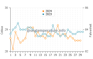 Temperature dell'acqua a Vigia a novembre