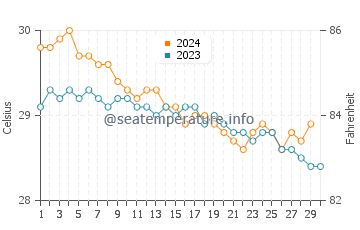 Temperature dell'acqua a Virgin Gorda a novembre