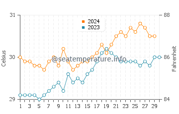 Wakatobi water temp chart in November