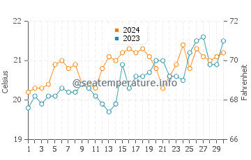 Temperature dell'acqua a Wamberal a novembre