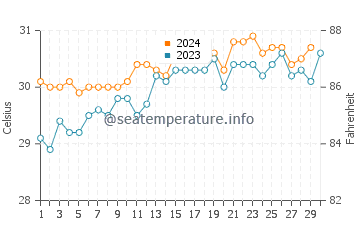 Wetar Island water temp chart in November