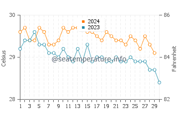 Températures de l'eau à Wotho en novembre