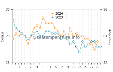 Wassertemperatur Xcalak im November