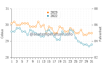 Apo Reef water temp chart in December