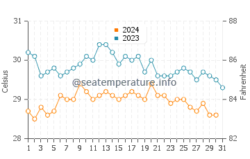 Wassertemperatur Champerico im Dezember