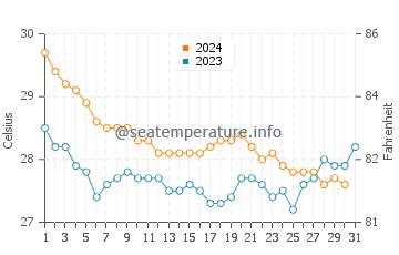 Temperature dell'acqua a Chichiriviche a dicembre
