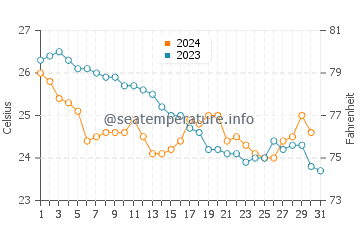 Temperature dell'acqua a Chuburná a dicembre