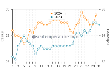 Cooktown water temp chart in December