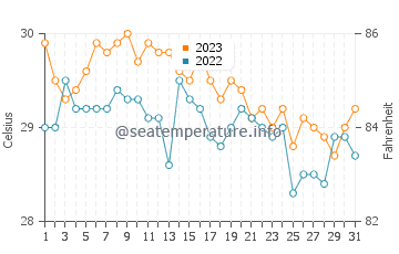 Coron water temp chart in December