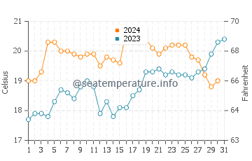 Doubtless Bay water temp chart in December