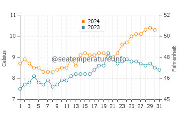 Wassertemperatur Fox Bay im Dezember