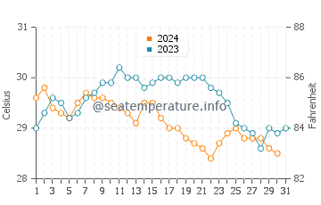 Ko Kut water temp chart in December