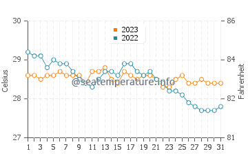 Wassertemperatur Magdiwang im Dezember