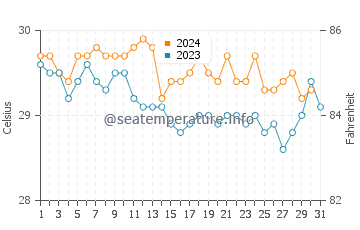 Wassertemperatur Magur im Dezember