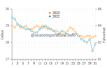 Wassertemperatur Matalom im Dezember