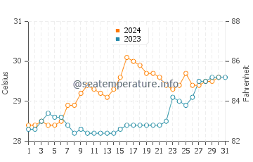 Palm Cove water temp chart in December