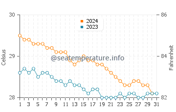 Temperature dell'acqua a Pointe Michel a dicembre
