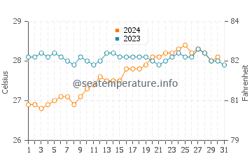 Temperature dell'acqua a Ponta Verde a dicembre