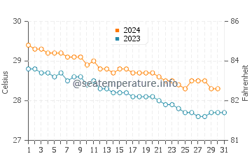 Températures de l'eau à Rincón en décembre