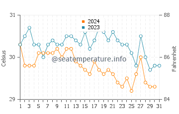 Wassertemperatur Tintipán Insel im Dezember