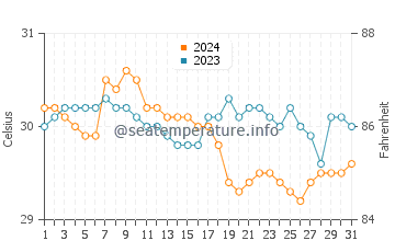 Températures de l'eau à Waisai en décembre