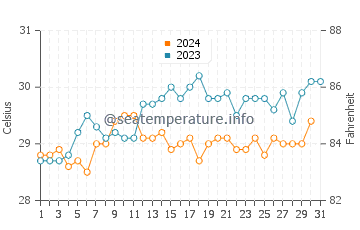 Temperatura del agua en Zanzíbar en diciembre