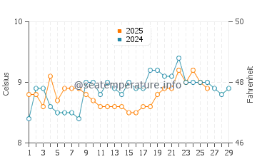 Temperature dell'acqua a Baginbun a febbraio