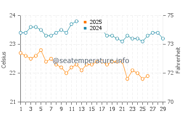 Temperature dell'acqua a Ponta Do Sol a febbraio
