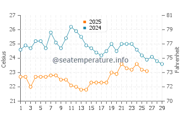 Temperature dell'acqua a Chincha Alta a febbraio