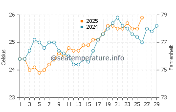 Temperature dell'acqua a Chinchani a febbraio