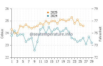 Temperature dell'acqua a Molasses Reef a febbraio