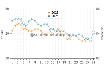 Wassertemperatur Paracurú im Februar